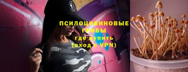 дурь Алексин