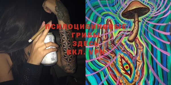 дурь Алексин
