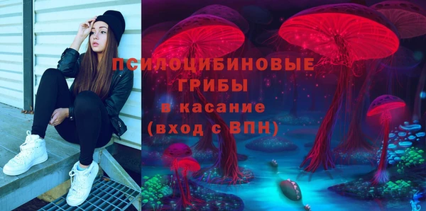 дурь Алексин