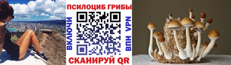 кракен ТОР  Амурск  Псилоцибиновые грибы ЛСД  где можно купить  