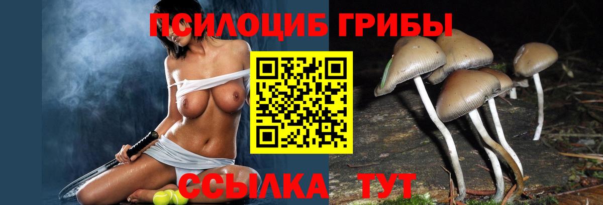 Амурск  Псилоцибиновые грибы Magic Shrooms  Вход с VPN  Галлюциногенные грибы Magic Shrooms 